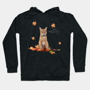 Orange Cat Enjoying Autumn Hoodie